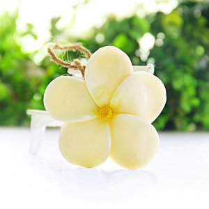 雞蛋花水果皂貼牌OEM/ODM