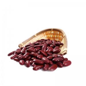 廣東華懋食品科技發(fā)展有限公司