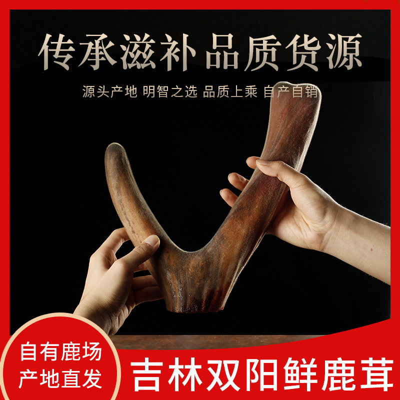 鹿鄉新鮮整支鮮鹿茸貼牌定制代加工