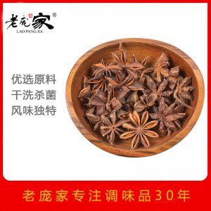 山東龐大調味食品有限公司