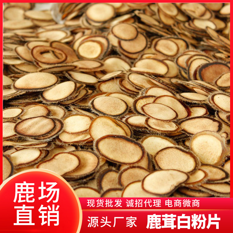 鹿茸梅花鹿白粉片代加工貼牌OEM/ODM