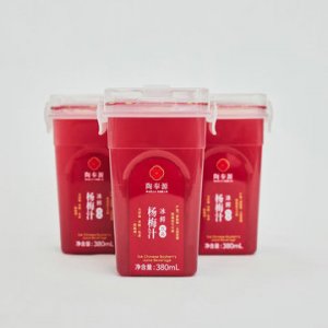 網紅飲品冰鮮楊梅汁OEM/ODM定制代加工