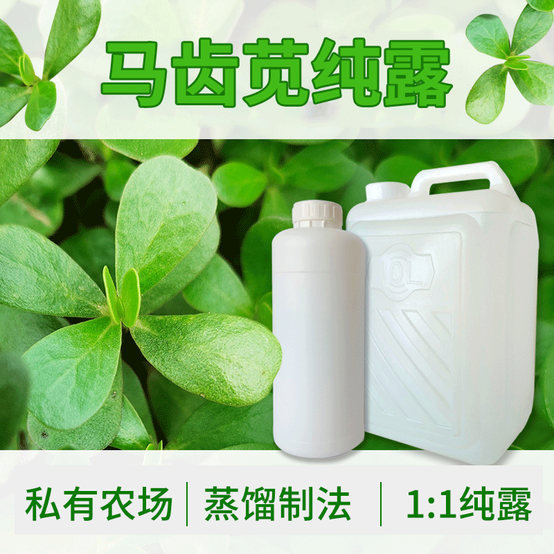 馬齒莧純露 OEM/ODM代加工