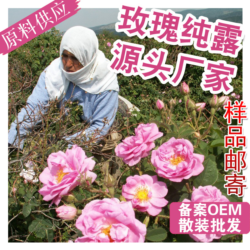 惠農玫瑰 玫瑰純露原料OEM/ODM定制代加工