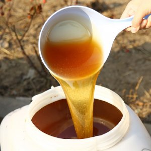 蜂蜜批發吃的棗花蜜百花蜜洋槐蜜土蜂蜜灌裝原蜜OEM/ODM定制代加工