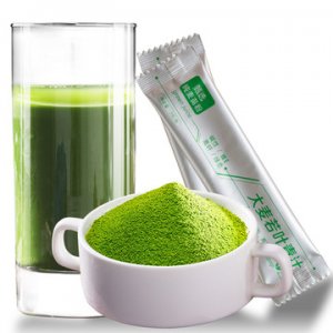 青汁粉大麥若葉青汁粉貼牌定制代加工