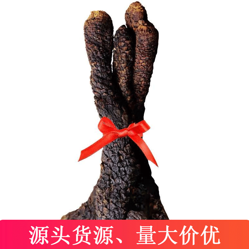 油蓯蓉整根泡酒料肉蓯蓉油蓯蓉鮮切片干貨新新疆吐魯番產地油蓯蓉貼牌定制代加工