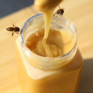 結晶蜜百花蜜土蜂蜜OEM/ODM代加工