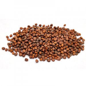 低溫烘焙熟萊菔籽蘿卜籽 五谷磨房原料OEM/ODM定制代加工