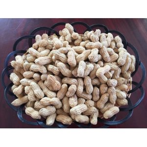 龍巖特產(chǎn)2.5kg蒜味小珍珠花生 休閑零食小吃堅(jiān)果炒貨類(lèi)食品OEM代加工