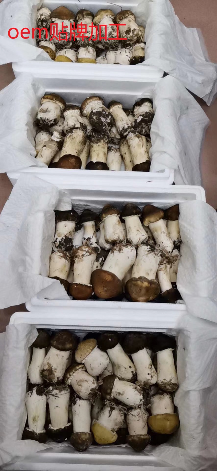 新鮮姬松茸OEM/ODM定制代加工