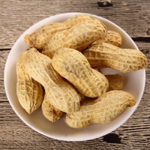 新花生帶殼多味水煮白曬鹽咸干500gOEM/ODM定制代加工