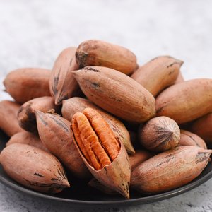 廬江大寅薄殼山核桃科技種植專業合作社