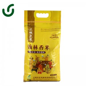 東北翰林香大米10斤 新米東北大米5kg三城大米OEM/ODM代加工