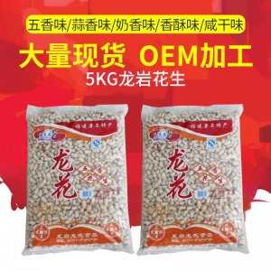 福建特產龍巖帶殼花生蒜香5kg 休閑零食炒貨堅果OEM代加工