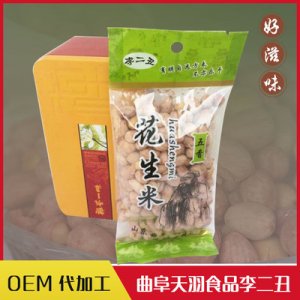五香花生20代*200g 休閑食品零食小吃炒貨干果花生米代加工貼牌OEM/ODM