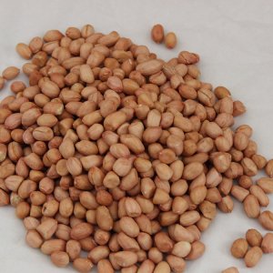 花生米OEM/ODM定制代加工