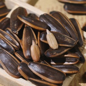 升泉焦糖味瓜子500gOEM/ODM