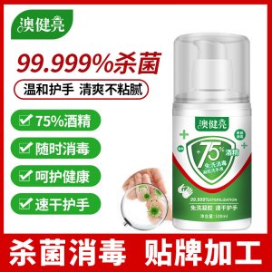 免洗洗手液100mlOEM/ODM代加工