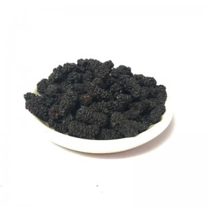 黑桑葚干250gOEM/ODM