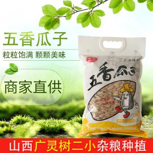 1kg袋裝五香瓜子 OEM/ODM定制代加工