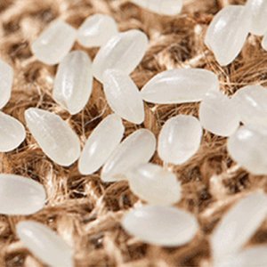 手提禮品大米真空包裝OEM/ODM代加工