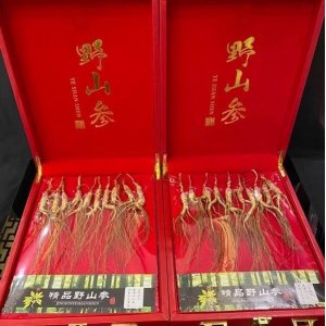 長(zhǎng)白山人參15年林下參代加工貼牌OEM/ODM