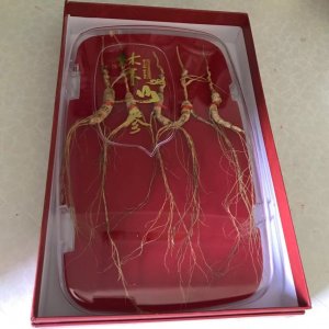 長(zhǎng)白山人參15年林下參貼牌OEM/ODM