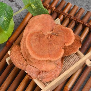 盧陽(yáng)芝貼牌OEM/ODM