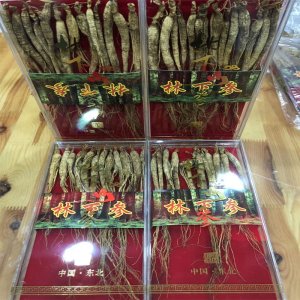 東北吉林長(zhǎng)白山特產(chǎn)小林下參貼牌OEM/ODM