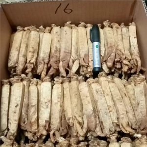 長(zhǎng)白山高麗參6年根紅參OEM/ODM代加工