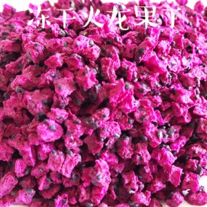 凍干火龍果丁 OEM代加工