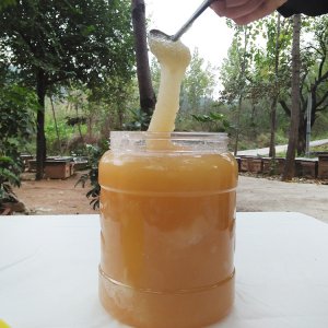 結晶蜜土蜂蜜貼牌OEM/ODM