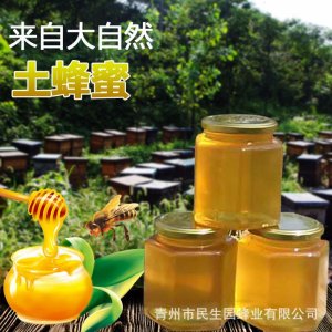 土蜂蜜 500g瓶裝蜂蜜OEM/ODM代加工