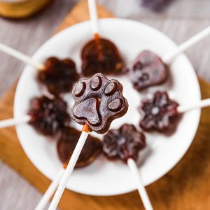 嬰兒秋梨膏棒棒糖零食貼牌定制代加工