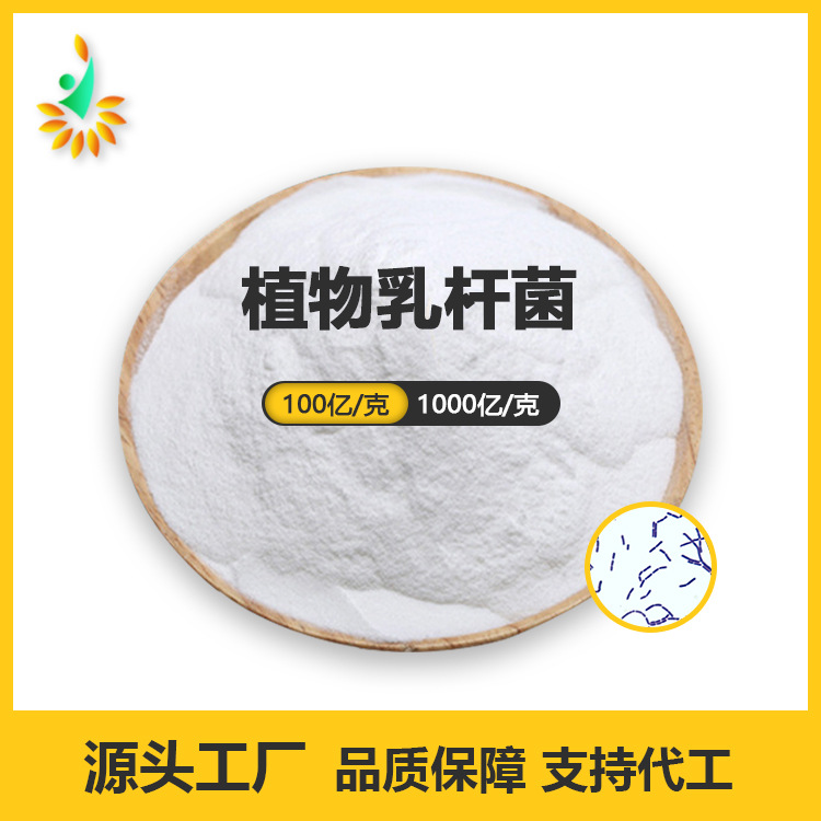植物乳桿菌OEM代加工