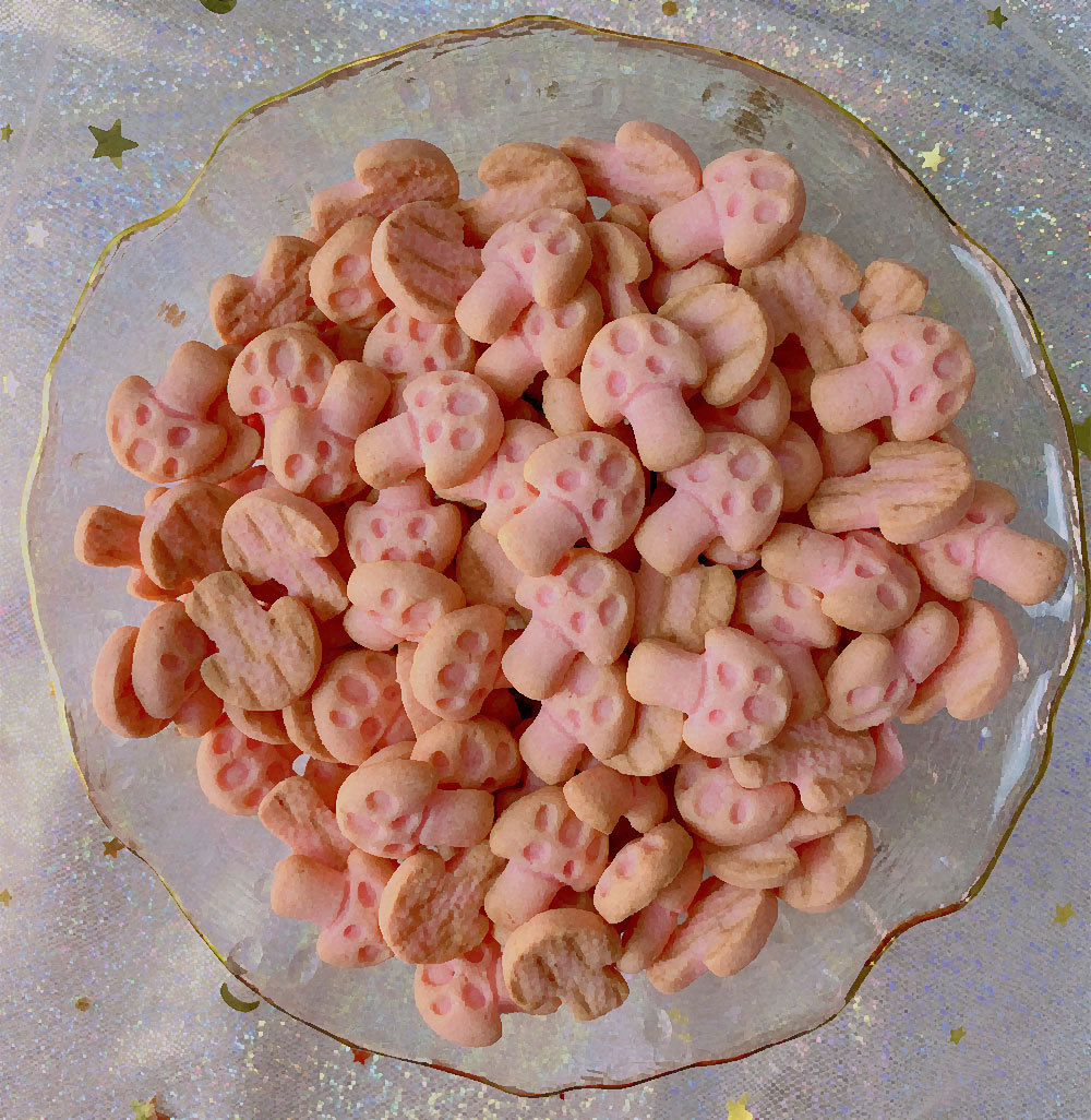 四菌蘑菇餅干OEM/ODM代加工