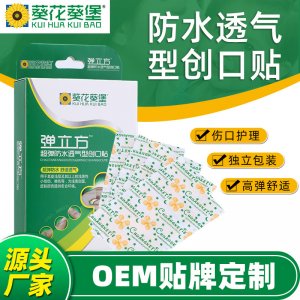 廣東葵花葵堡醫藥科技有限公司