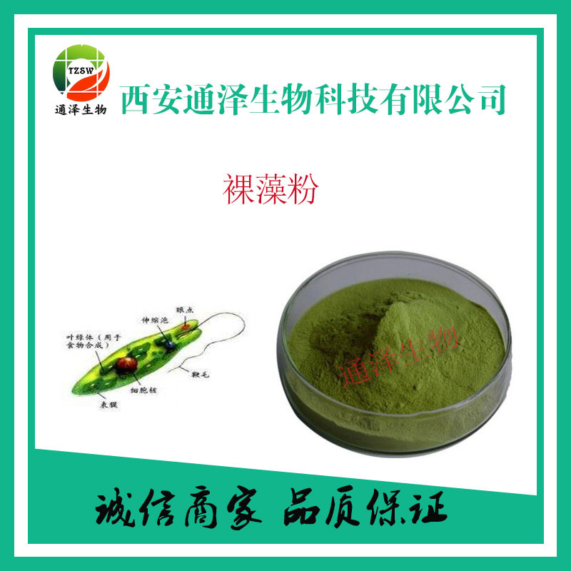 裸藻粉 裸藻粉 裸藻粉OEM/ODM代加工
