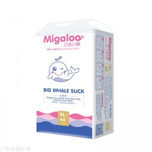 廣東貝禧護理用品有限公司