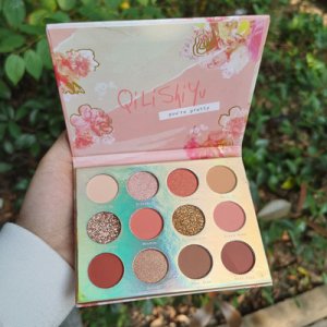 12色珊瑚眼影OEM/ODM代加工