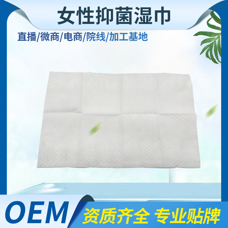 私處清潔護理濕巾貼牌定制代加工