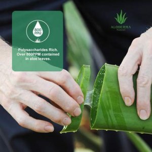 純蘆薈凝膠OEM/ODM定制代加工