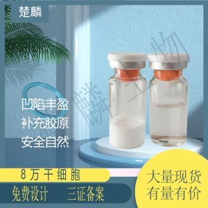 無針霧化干細胞填充貼牌定制代加工