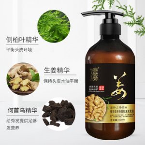 補水滋養柔順去屑生姜洗發水