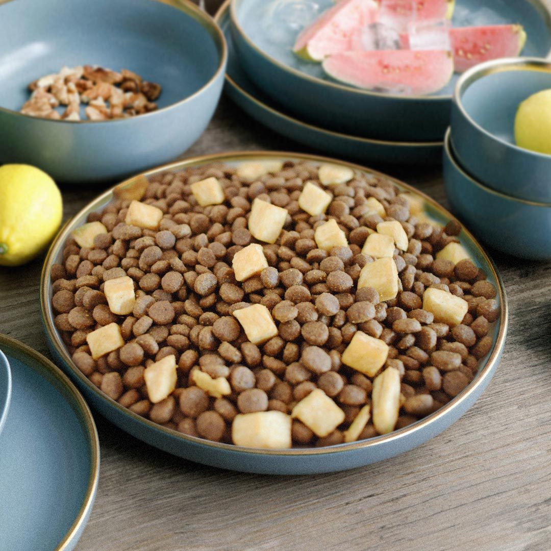 全價寵物食品無谷凍干貓狗糧OEM/ODM代加工