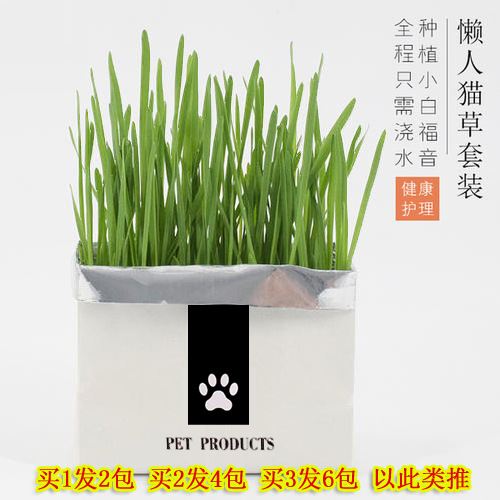 江蘇虹寵寵物用品有限公司