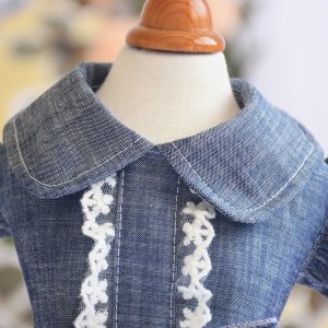 狗狗衣服春夏公主裙泰迪衣服蝴蝶結(jié)裙子寵物衣服春夏新款裙子OEM/ODM代加工