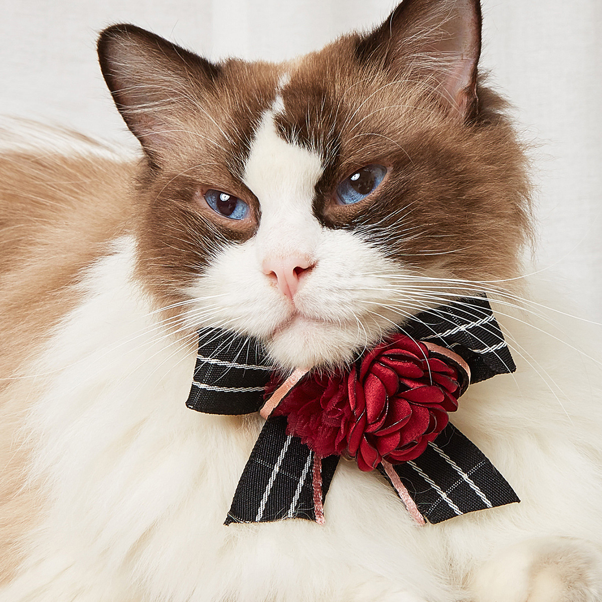 寵物飾品項圈項鏈裝飾貼牌OEM/ODM