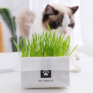 寵物貓咪零食OEM/ODM代加工